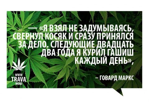 фразы марихуана